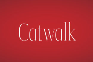 Catwalk: A Display Font That Steps Confidently Into Your Brand