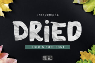 Dried: A Playful Display Font That Makes Your Brand Stand Out